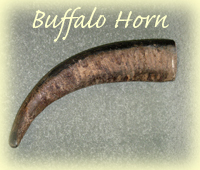 buffalo horn walking stick
